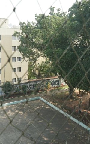 Apartamento para alugar com 51m², 2 quartos e 1 vagaVista do Quarto 1