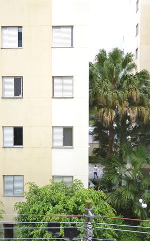 Apartamento para alugar com 55m², 2 quartos e 1 vagaVista do Quarto 2