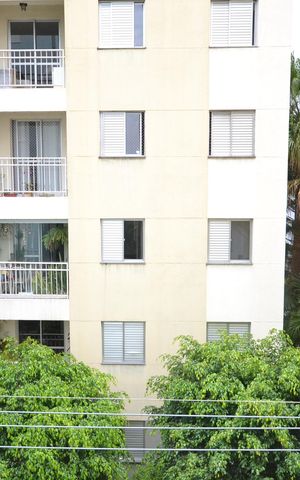 Apartamento para alugar com 55m², 2 quartos e 1 vagaVista do Quarto 1