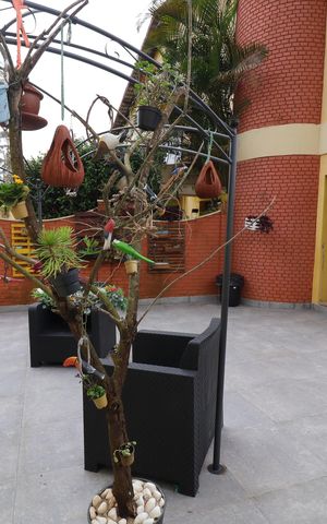 Casa à venda com 549m², 6 quartos e 4 vagasQuintal