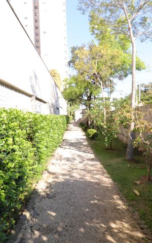 Apartamento à venda com 136m², 3 quartos e 2 vagasÁrea comum - Pista de caminhada