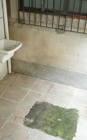 Casa para alugar com 220m², 2 quartos e 8 vagasÁrea de Serviço