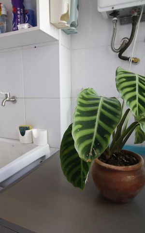 Apartamento à venda com 102m², 4 quartos e 2 vagas Apartamento à venda com 102m², 4 quartos e 2 vagasÁrea de serviço