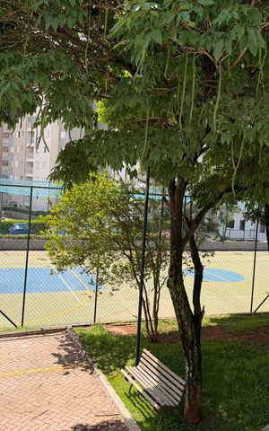 Apartamento para alugar com 67m², 3 quartos e 1 vaga Apartamento para alugar com 67m², 3 quartos e 1 vagaÁrea externa