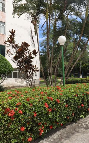 Apartamento para alugar com 100m², 3 quartos e 2 vagas Apartamento para alugar com 100m², 3 quartos e 2 vagasÁrea comum