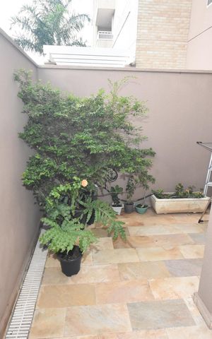 Apartamento à venda com 119m², 3 quartos e 2 vagas Apartamento à venda com 119m², 3 quartos e 2 vagasVaranda Gardem