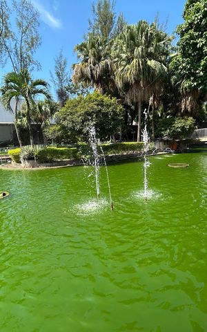 Apartamento para alugar com 70m², 3 quartos e 1 vagaÁrea comum