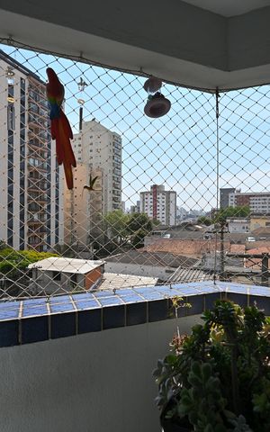 Apartamento à venda com 74m², 3 quartos e 1 vagaSuíte
