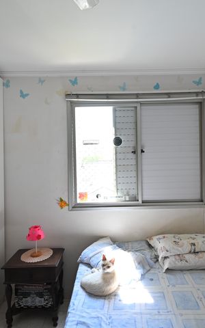 Apartamento à venda com 74m², 3 quartos e 1 vagaQuarto 2