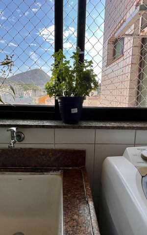 Apartamento à venda com 93m², 3 quartos e 1 vaga Apartamento à venda com 93m², 3 quartos e 1 vagaÁrea de Serviço