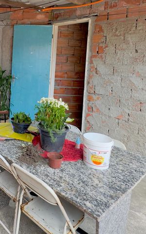 Casa à venda com 50m², 3 quartos e sem vaga Casa à venda com 50m², 3 quartos e sem vagaQuintal