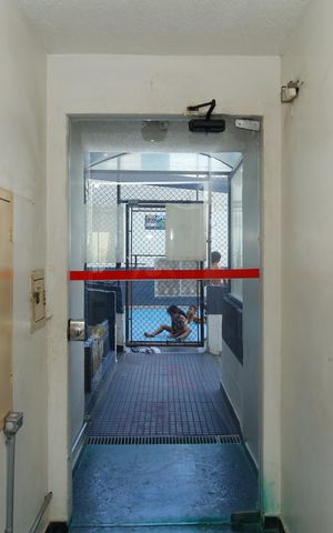 Apartamento para alugar com 50m², 3 quartos e 1 vagaÁrea comum - Saguão do prédio