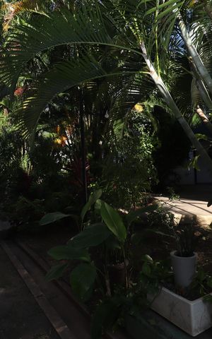 Casa de condomínio para alugar com 130m², 3 quartos e 2 vagas Casa de condomínio para alugar com 130m², 3 quartos e 2 vagasÁrea externa