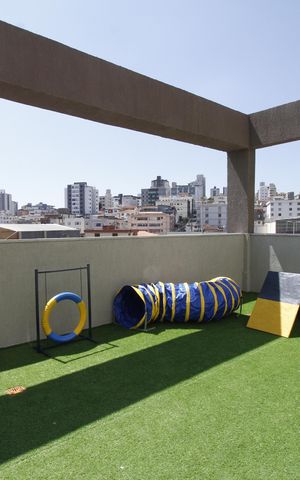 Apartamento para alugar com 24m², 1 quarto e sem vagaEspaço Pet