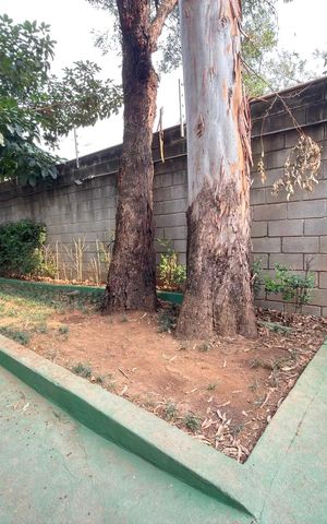Apartamento à venda com 104m², 3 quartos e 1 vaga