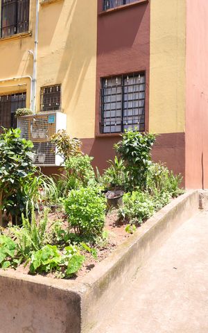Apartamento para alugar com 42m², 2 quartos e 1 vagaÁrea comum - Varal