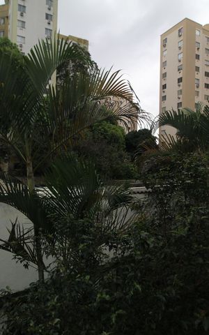Apartamento para alugar com 64m², 3 quartos e 1 vagaSala