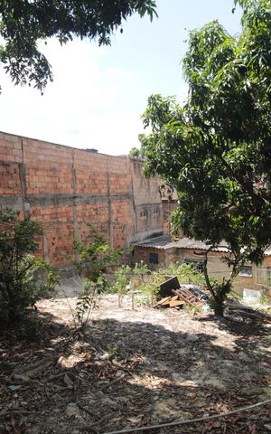 Casa para alugar com 50m², 3 quartos e sem vagaQuintal