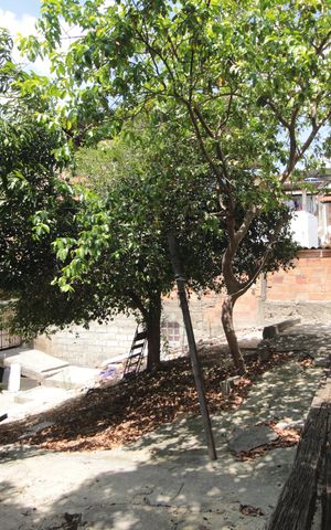 Casa para alugar com 50m², 3 quartos e sem vagaQuintal
