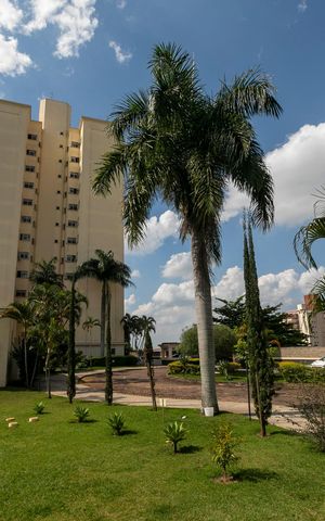 Apartamento para alugar com 65m², 2 quartos e 1 vagaÁREA DE CIRCULAÇÃO