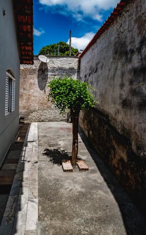 Casa à venda com 435m², 3 quartos e 4 vagasQuintal