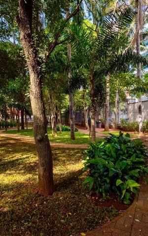 Apartamento à venda com 79m², 2 quartos e 1 vaga Apartamento à venda com 79m², 2 quartos e 1 vagaBosque
