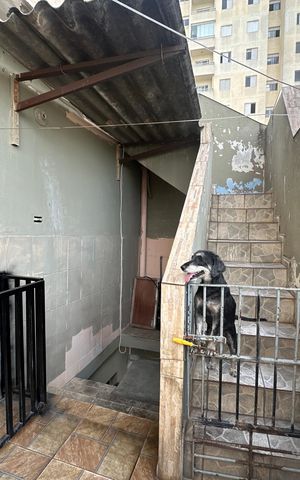 Casa à venda com 250m², 3 quartos e 1 vaga Casa à venda com 250m², 3 quartos e 1 vagaQuintal