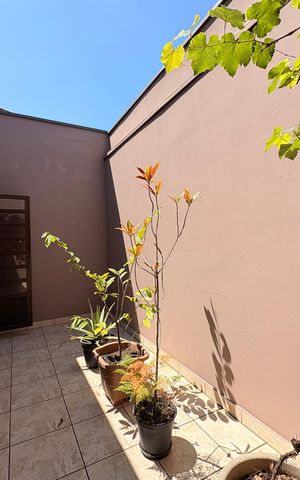 Casa à venda com 433m², 3 quartos e 6 vagas Casa à venda com 433m², 3 quartos e 6 vagasJardim de inverno