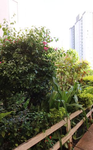 Apartamento para alugar com 53m², 2 quartos e 1 vagaÁrea comum