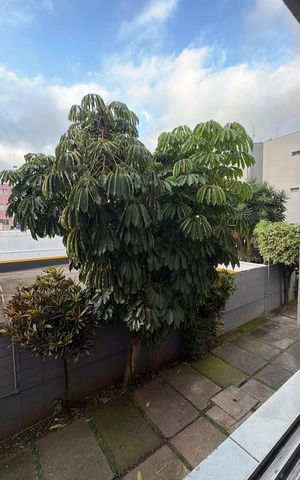 Apartamento à venda com 57m², 2 quartos e 1 vagaÁrea externa