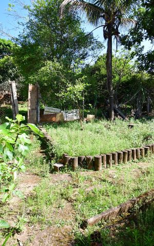 Casa à venda com 1000m², 2 quartos e 3 vagasJardim