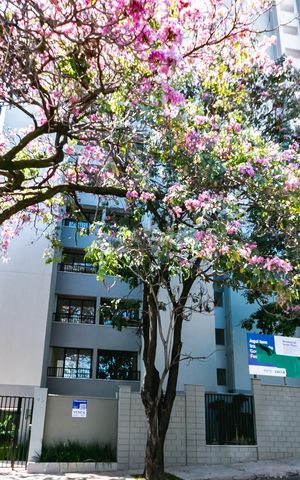 Apartamento à venda com 55m², 2 quartos e 1 vagaPlaca Instalada - 28/09/26-WZLX-784