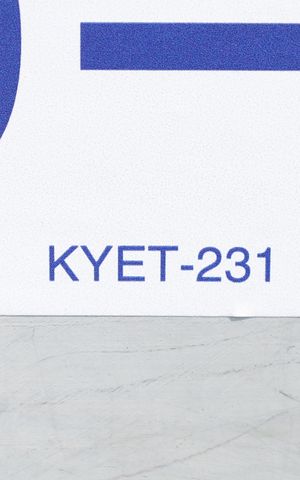 Casa à venda com 189m², 2 quartos e 2 vagasPlaca GRANDE instalada no portão do imóvel, dia 28.09.2026 - Código da placa: KYET-231