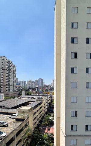 Apartamento à venda com 60m², 2 quartos e 1 vaga Apartamento à venda com 60m², 2 quartos e 1 vagaVista - suíte