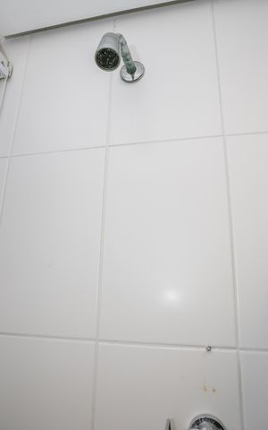 Apartamento para alugar com 85m², 2 quartos e 2 vagasBanheiro Social