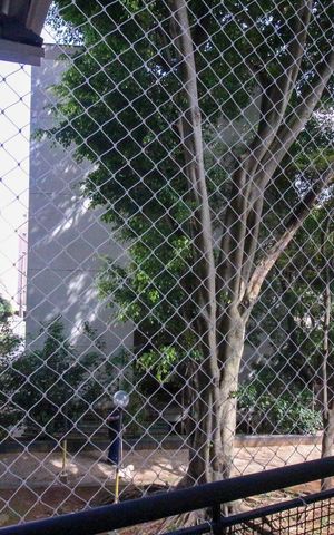 Apartamento à venda com 55m², 2 quartos e 1 vaga
