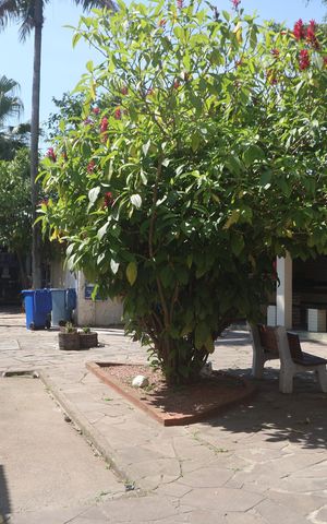 Apartamento para alugar com 34m², 1 quarto e sem vagaÁrea comum