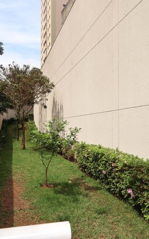 Apartamento para alugar com 97m², 3 quartos e 2 vagaspet place