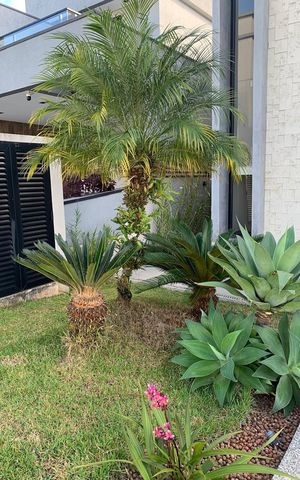 Casa para alugar com 300m², 3 quartos e 4 vagas Casa para alugar com 300m², 3 quartos e 4 vagasÁrea externa