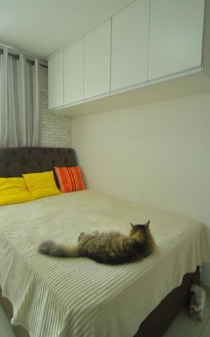 Apartamento à venda com 50m², 2 quartos e 2 vagasQuarto 2 