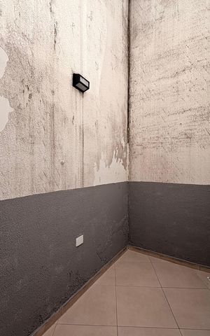 Casa à venda com 151m², 2 quartos e 2 vagas Casa à venda com 151m², 2 quartos e 2 vagasJardim de inverno