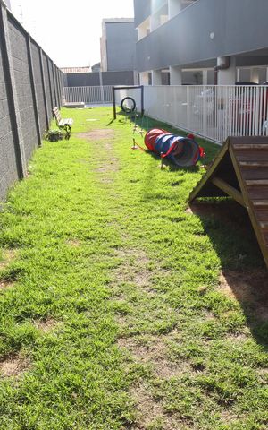 Apartamento para alugar com 53m², 2 quartos e 1 vagaÁrea comum - Espaço Pet