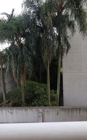 Apartamento para alugar com 32m², 1 quarto e sem vagaVaranda vista