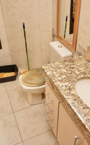 Apartamento à venda com 110m², 3 quartos e 1 vaga Apartamento à venda com 110m², 3 quartos e 1 vagaBanheiro Social 2