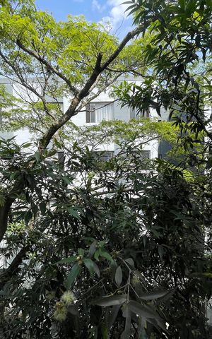 Apartamento para alugar com 58m², 2 quartos e 1 vaga Apartamento para alugar com 58m², 2 quartos e 1 vagaSala