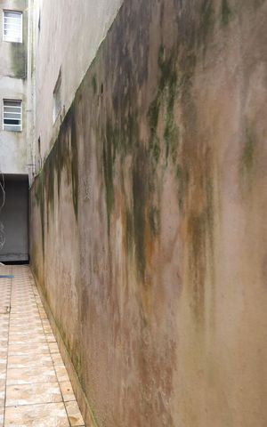 Casa para alugar com 55m², 1 quarto e sem vagaÁrea comum