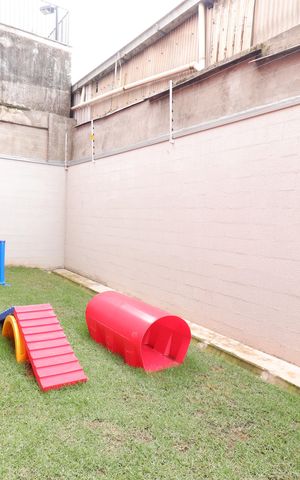Apartamento para alugar com 40m², 2 quartos e sem vagaÁrea pet