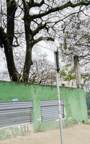 Apartamento à venda com 76m², 3 quartos e 1 vaga Apartamento à venda com 76m², 3 quartos e 1 vagaFachada