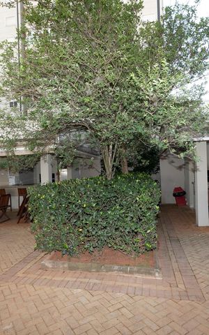 Apartamento para alugar com 66m², 2 quartos e 2 vagasCHURRASQUEIRAS