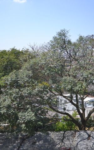 Apartamento para alugar com 69m², 3 quartos e 1 vagaQuarto 1